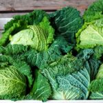 How To Harvest Cabbage: An Easy Guide