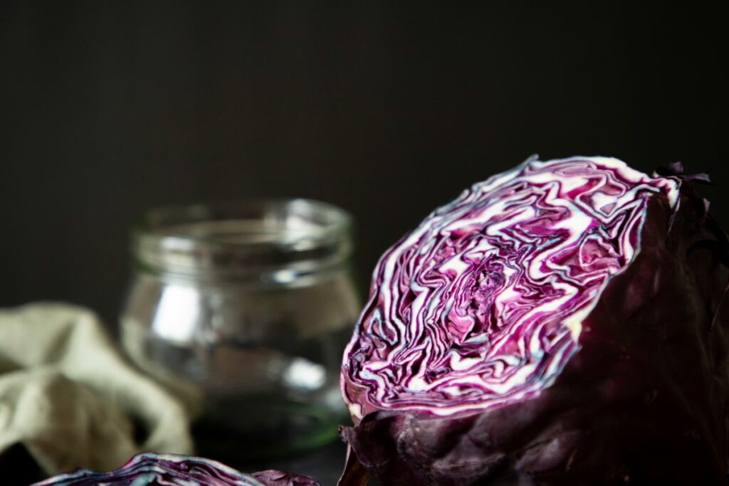 When to Harvest Red Cabbage