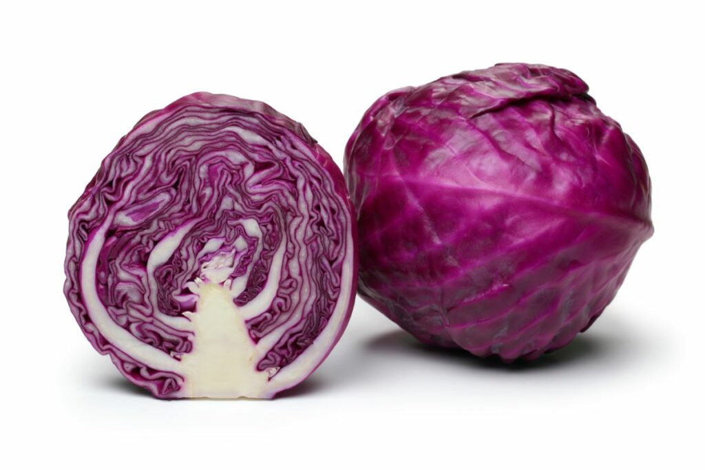 When to Harvest Red Cabbage